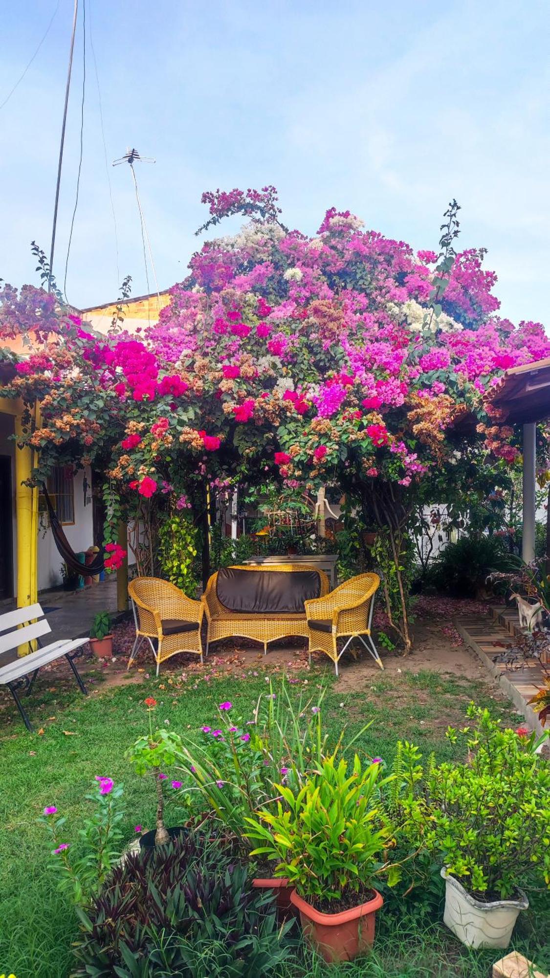 Pousada Solar Encanto Do Marajo ซูรี ภายนอก รูปภาพ