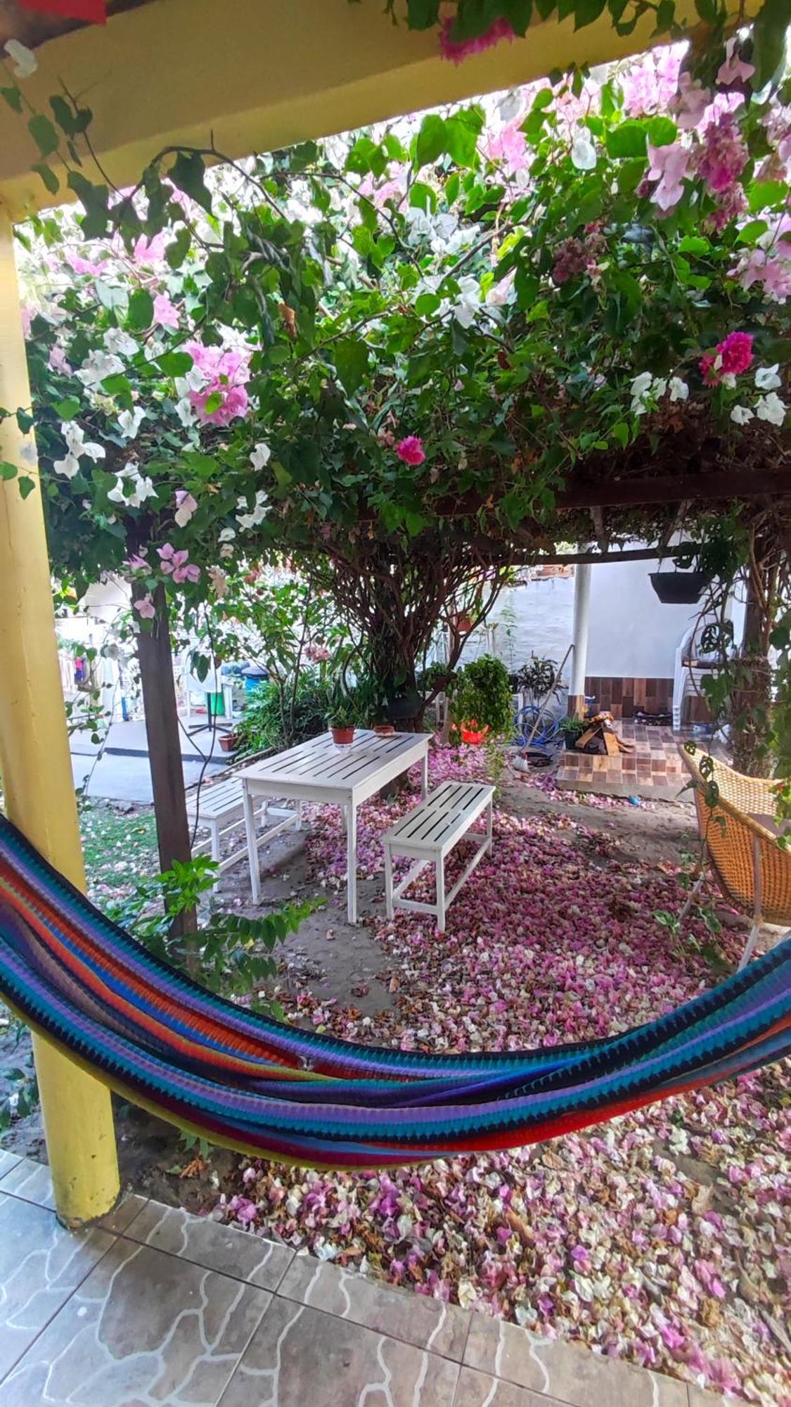 Pousada Solar Encanto Do Marajo ซูรี ภายนอก รูปภาพ